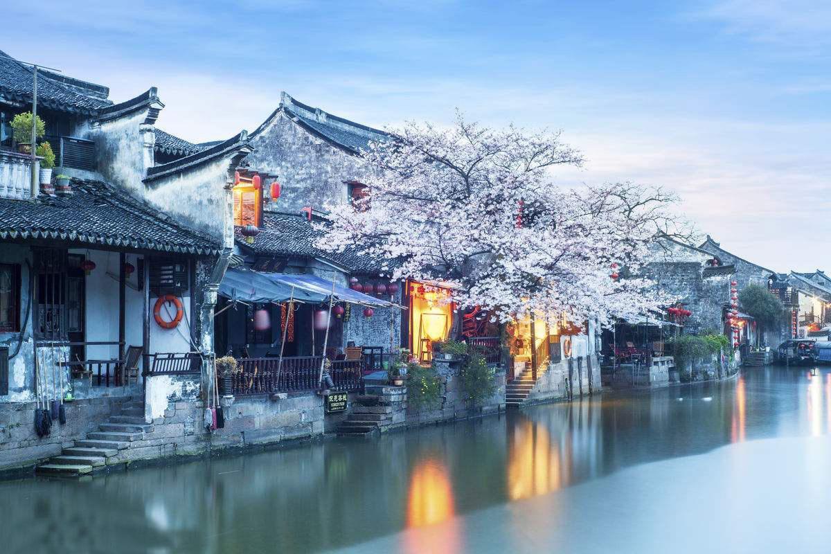 杨丽代表:三尺讲台守初心 呵护幼苗吐春芽