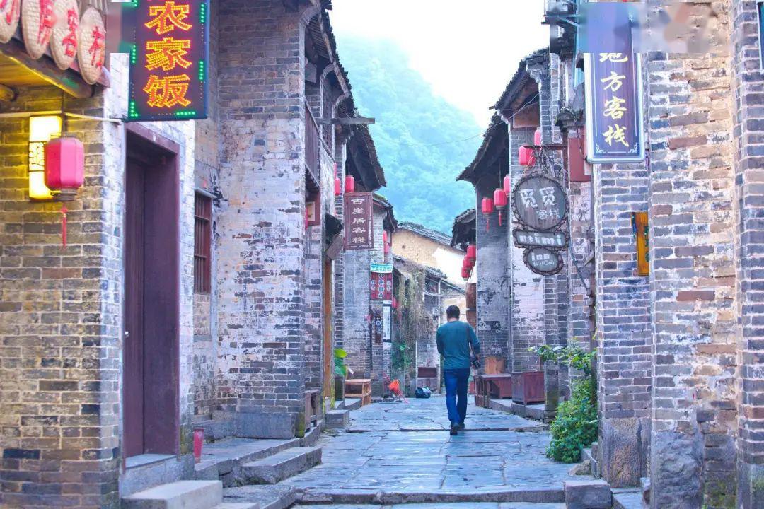 救援受困的老虎